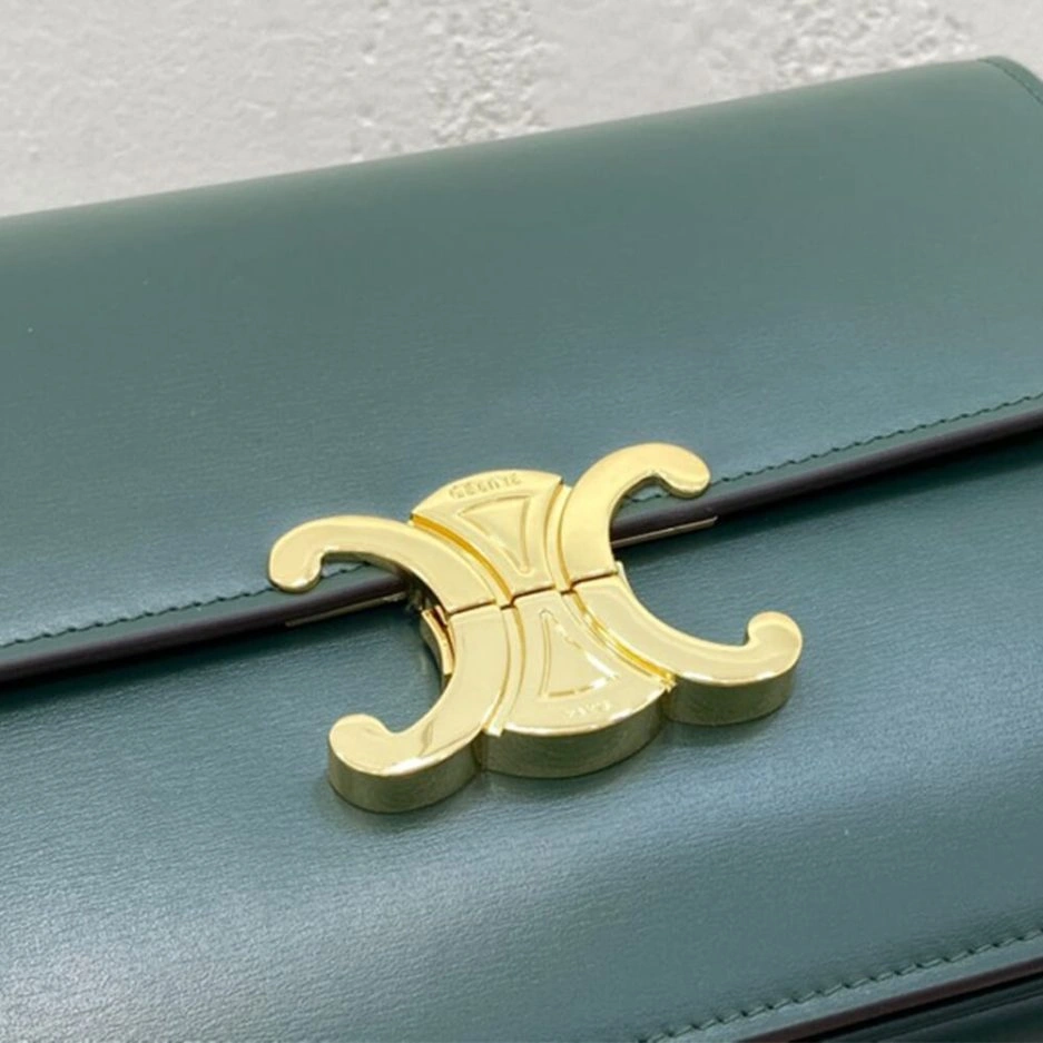 CELINE CLASSIQUE TRIOMPHE BAG IN CALFSKIN Colorful 1623