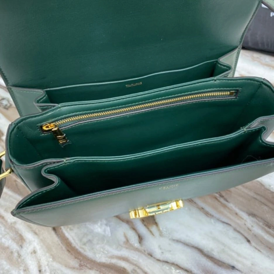 CELINE CLASSIQUE TRIOMPHE BAG IN CALFSKIN Colorful 1623