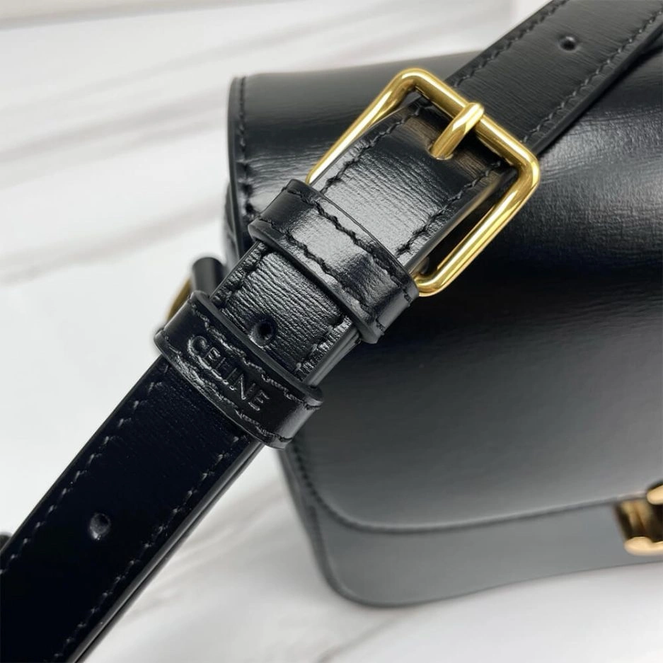 CELINE CLASSIQUE TRIOMPHE BAG IN SHINY CALFSKIN(high-end grade) Supportive 1637