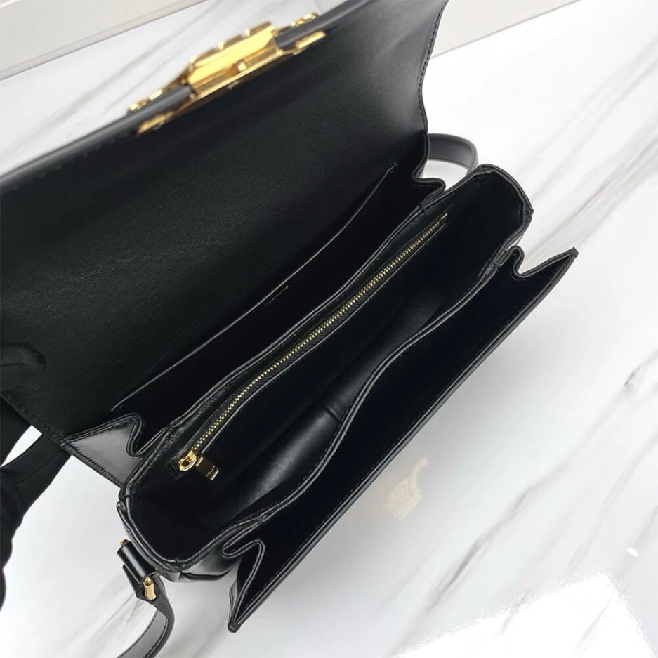 CELINE CLASSIQUE TRIOMPHE BAG IN SHINY CALFSKIN(high-end grade) Supportive 1637