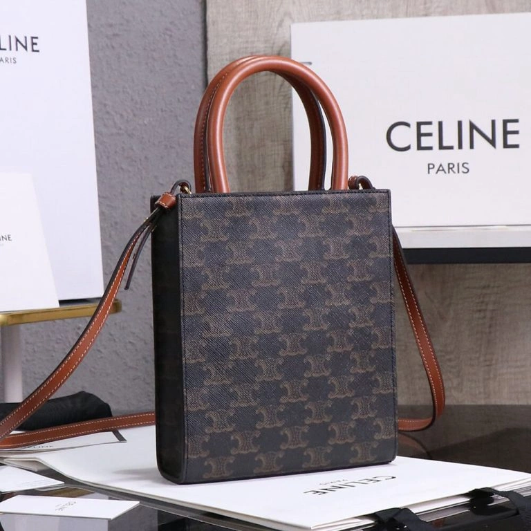 Elegant CELINE Mini Vertical Cabas IN Triomphe Canvas with Celine print 1595