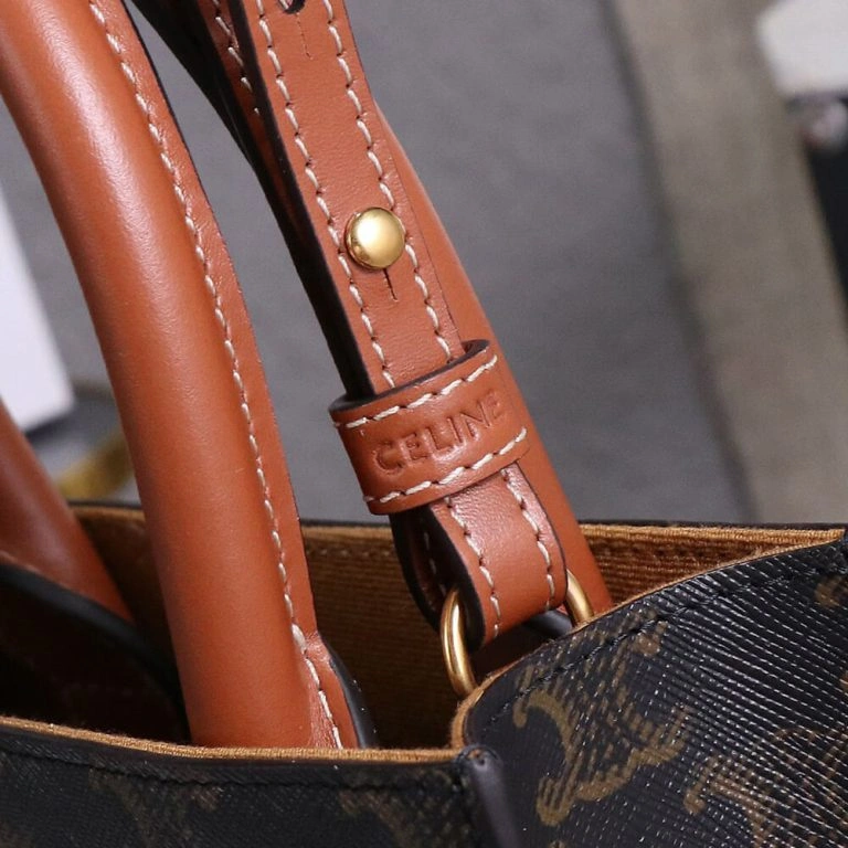 Elegant CELINE Mini Vertical Cabas IN Triomphe Canvas with Celine print 1595