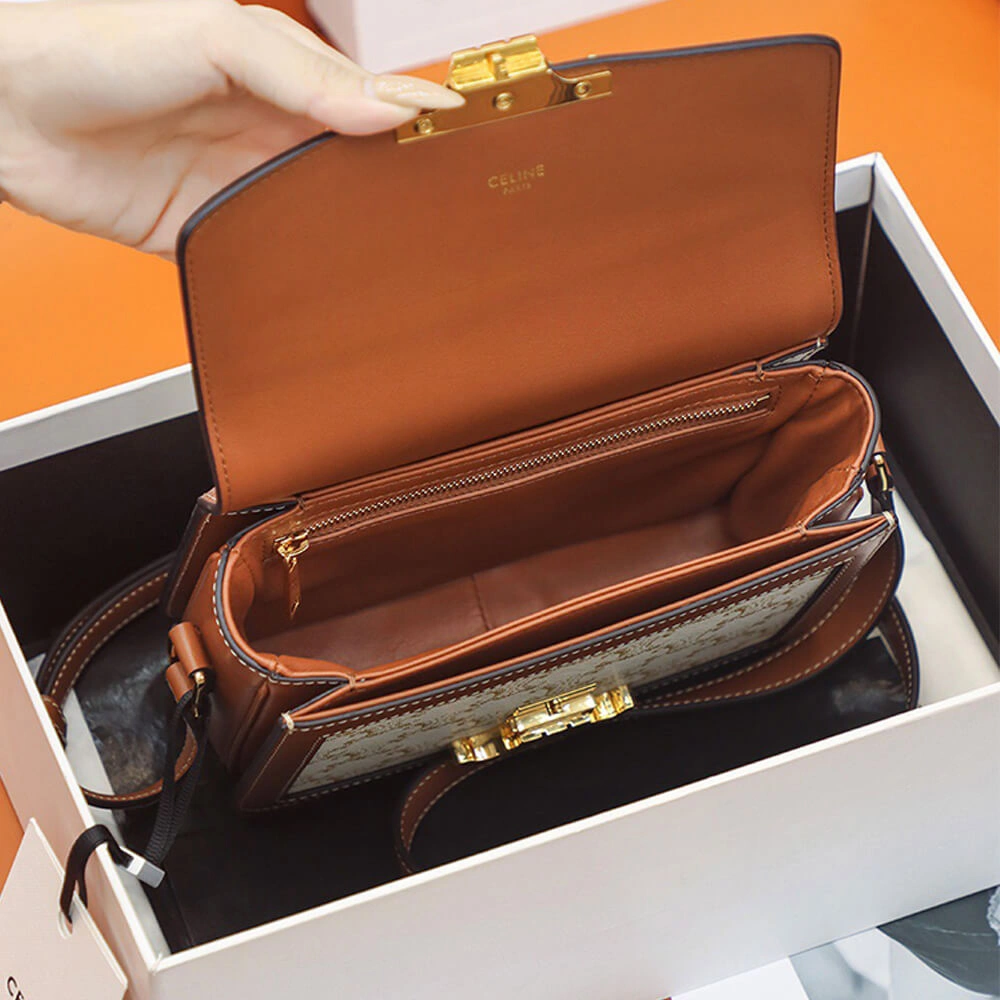 CELINE TEEN TRIOMPHE BAG Thermal 1644
