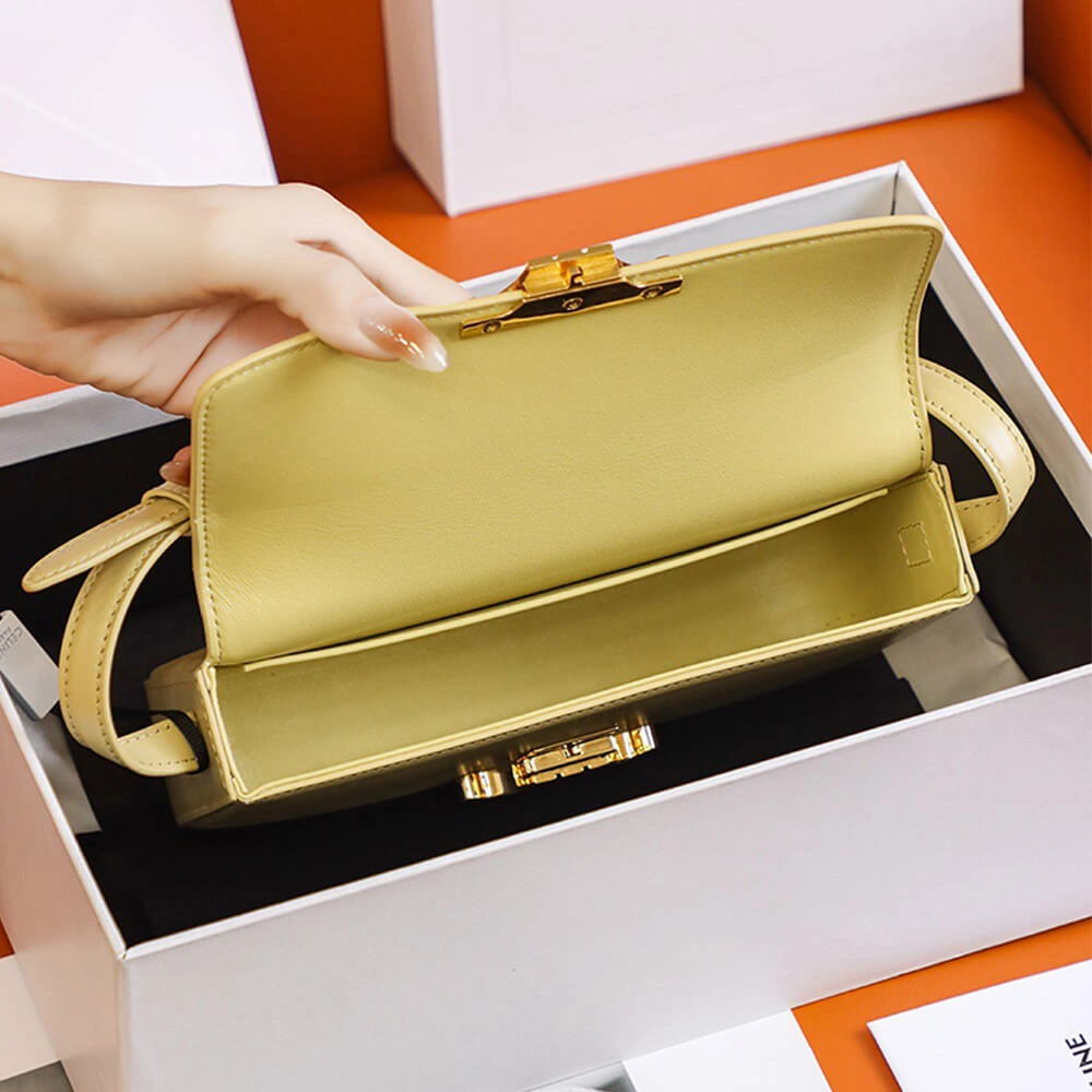 CELINE TRIOMPHE SHOULDER BAG Resilient 1620