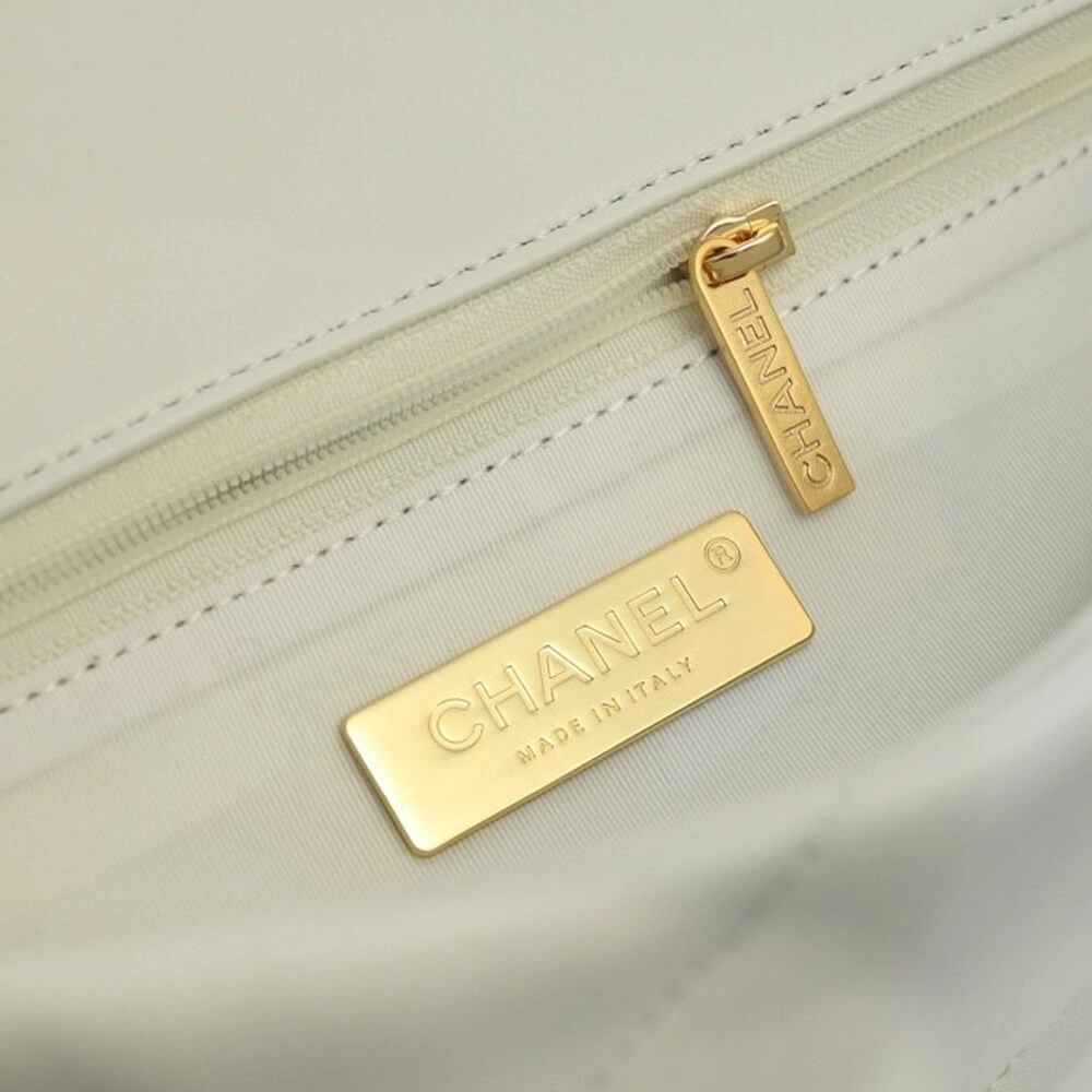 CHANEL 19 HANDBAG Colorful 1198