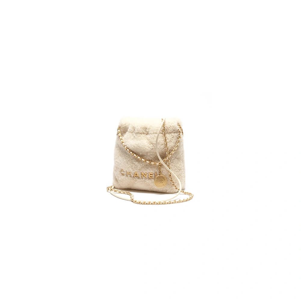 Efficient CHANEL 22 MINI HANDBAG 1124