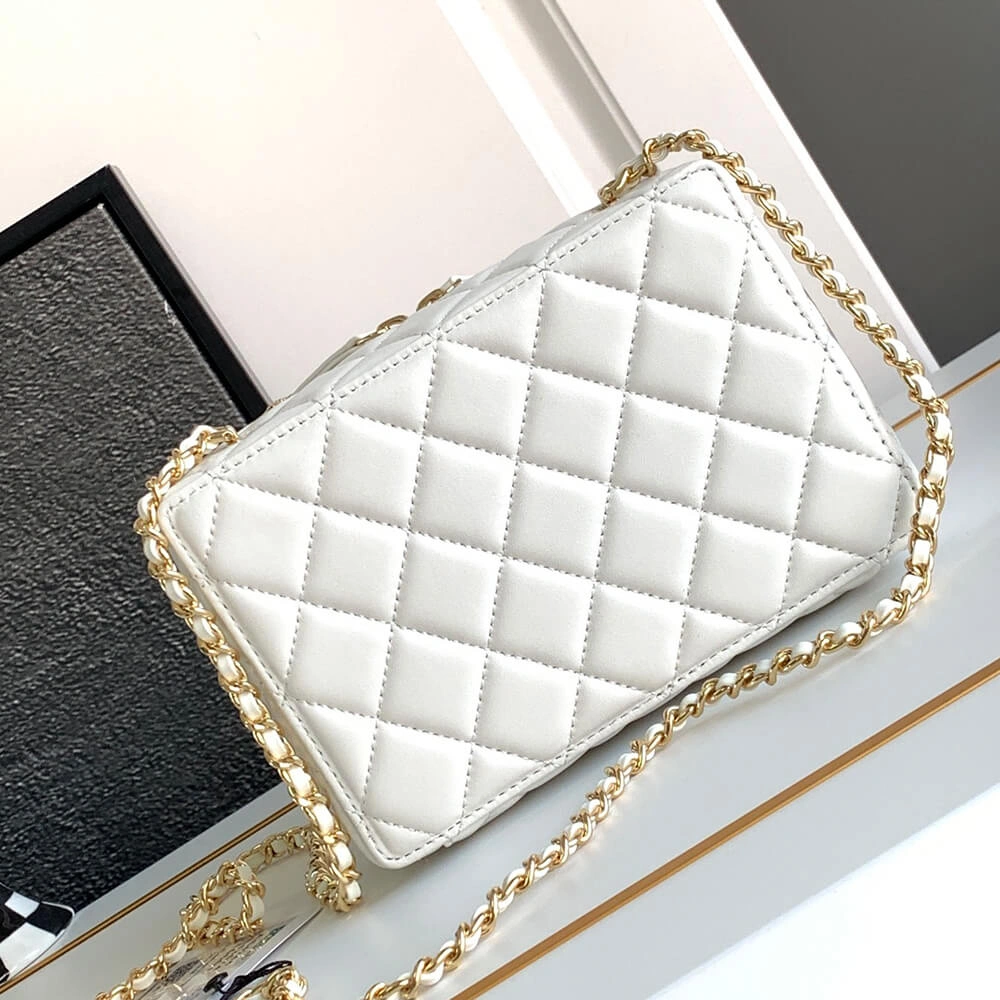 CHANEL CAMERA BAG WaterResistant 1190