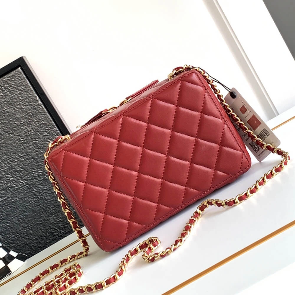 SoftTouch CHANEL CAMERA BAG 1171