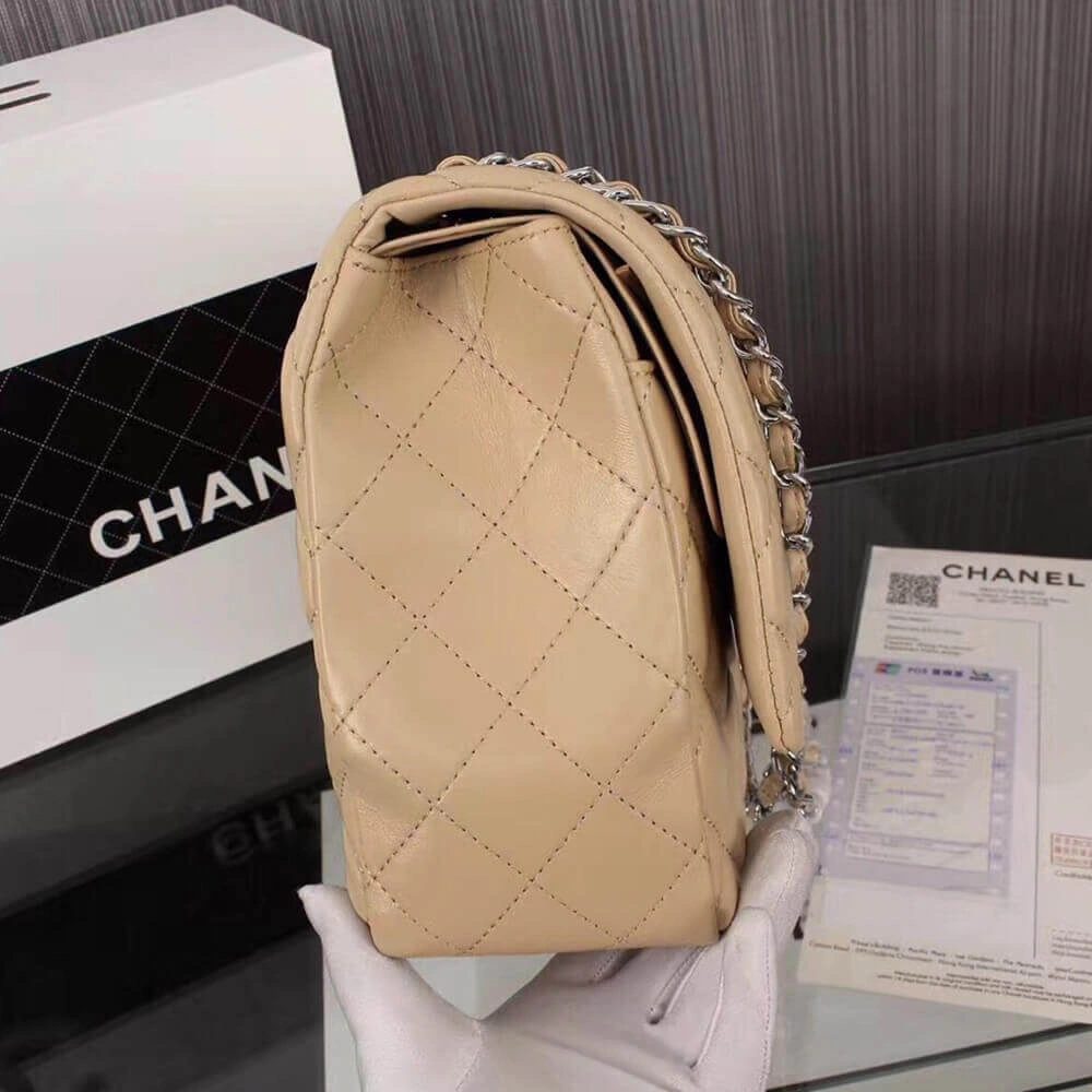 Resilient CHANEL  Maxi Handbag 1162