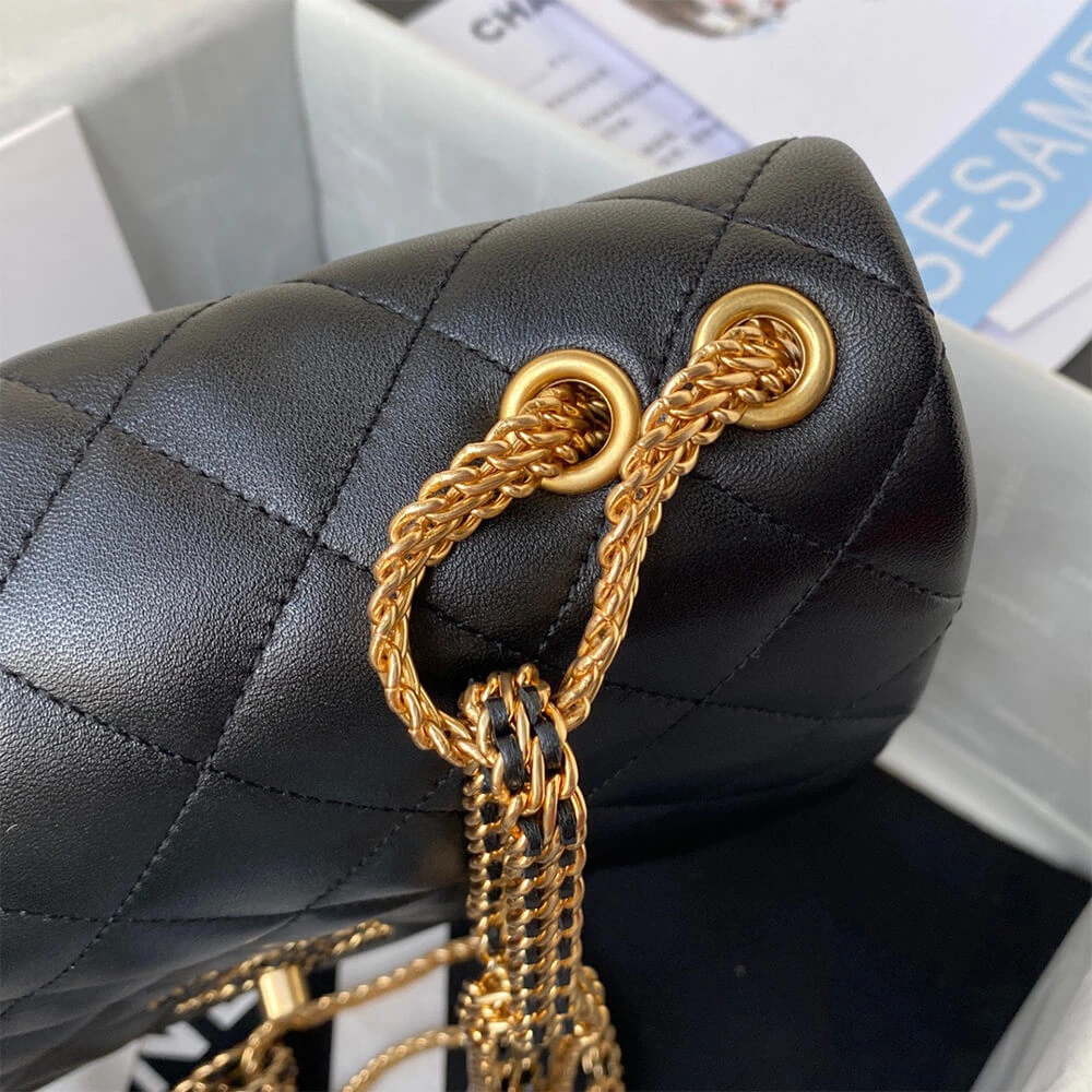EyeCatching CHANEL FLAP BAG 1173