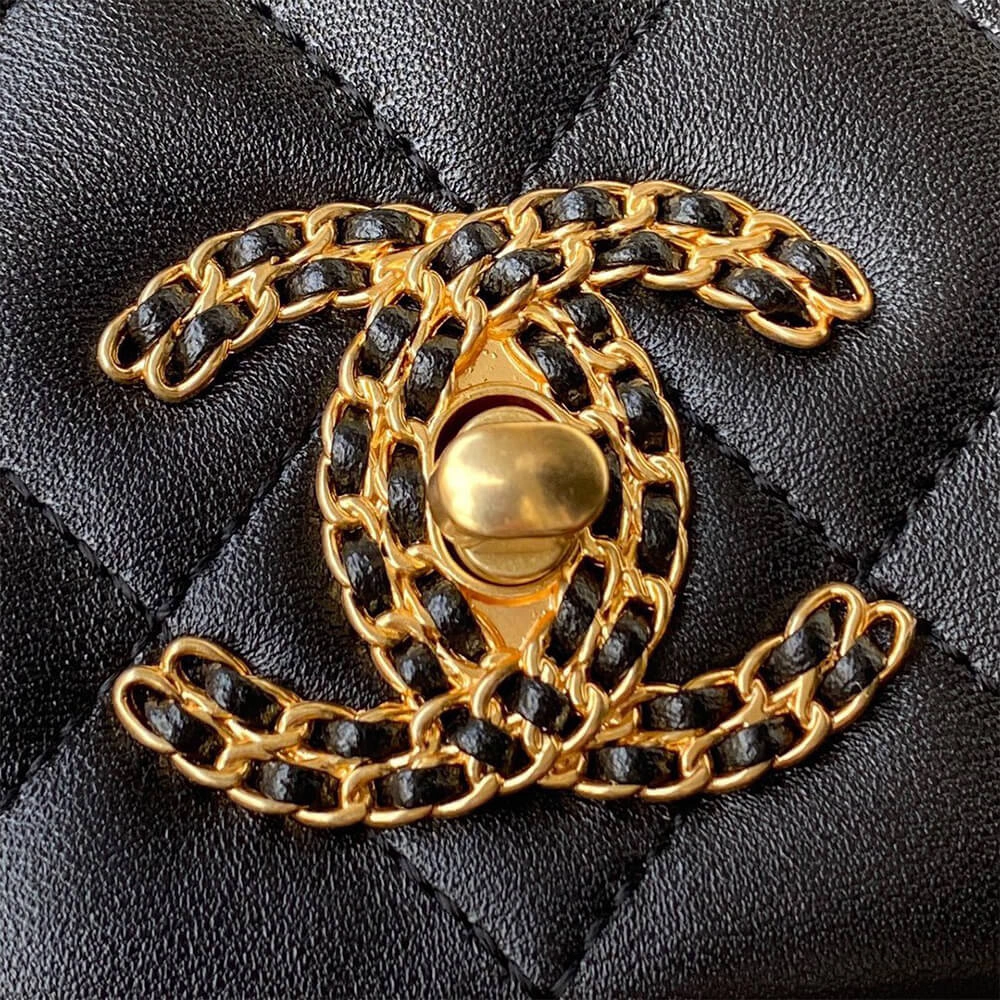 EyeCatching CHANEL FLAP BAG 1173