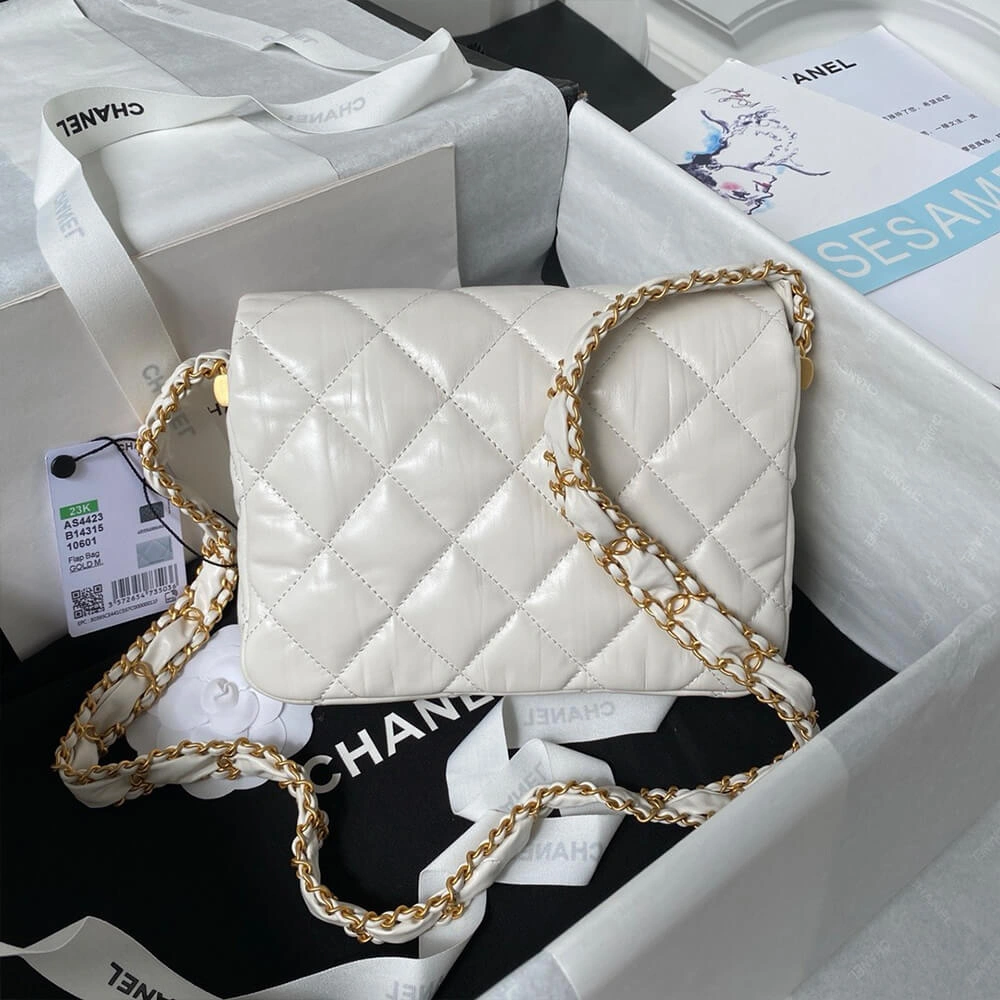 Stylish CHANEL MINI FLAP 1080