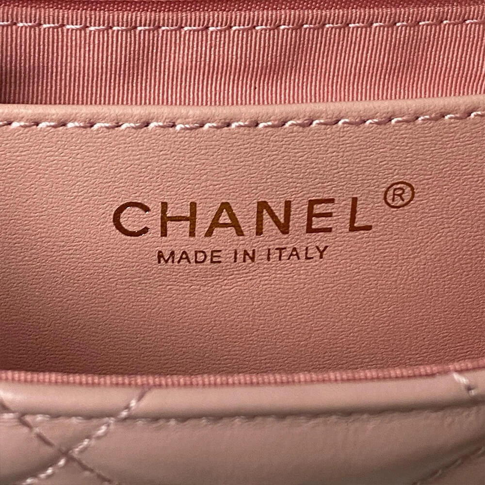 WaterResistant CHANEL MINI FLAP 1076