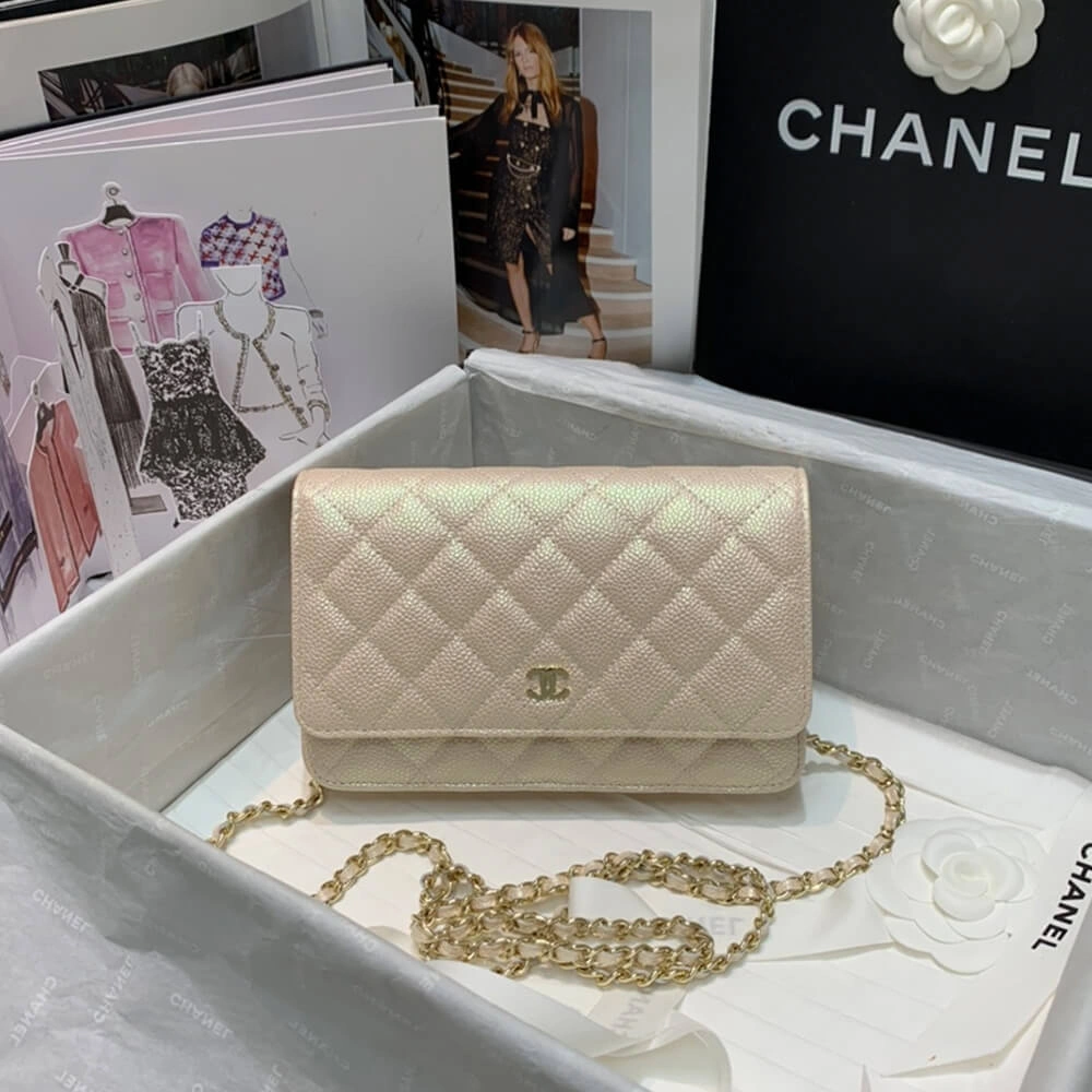 CHANEL Wallet On Chain Sophisticated 1212