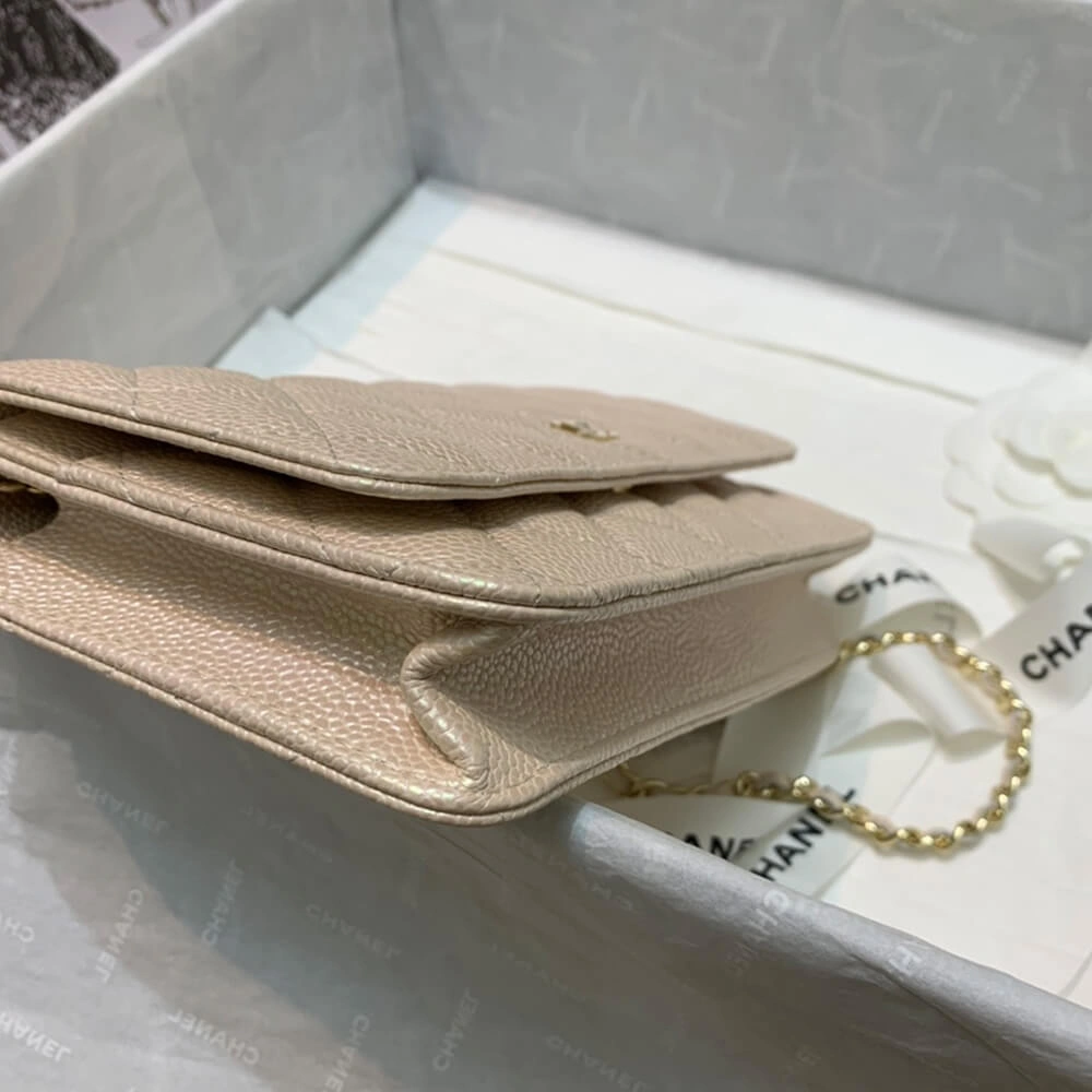 CHANEL Wallet On Chain Sophisticated 1212