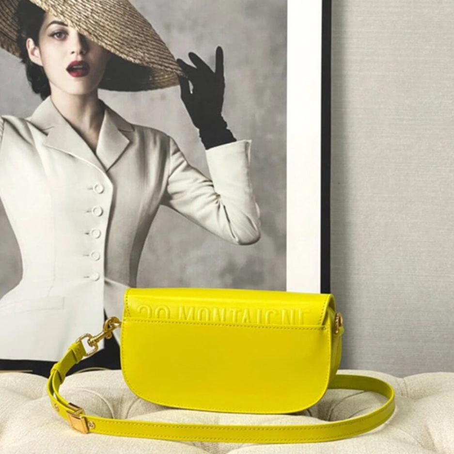 DIOR BOBBY EAST-WEST BAG AllSeason 1287