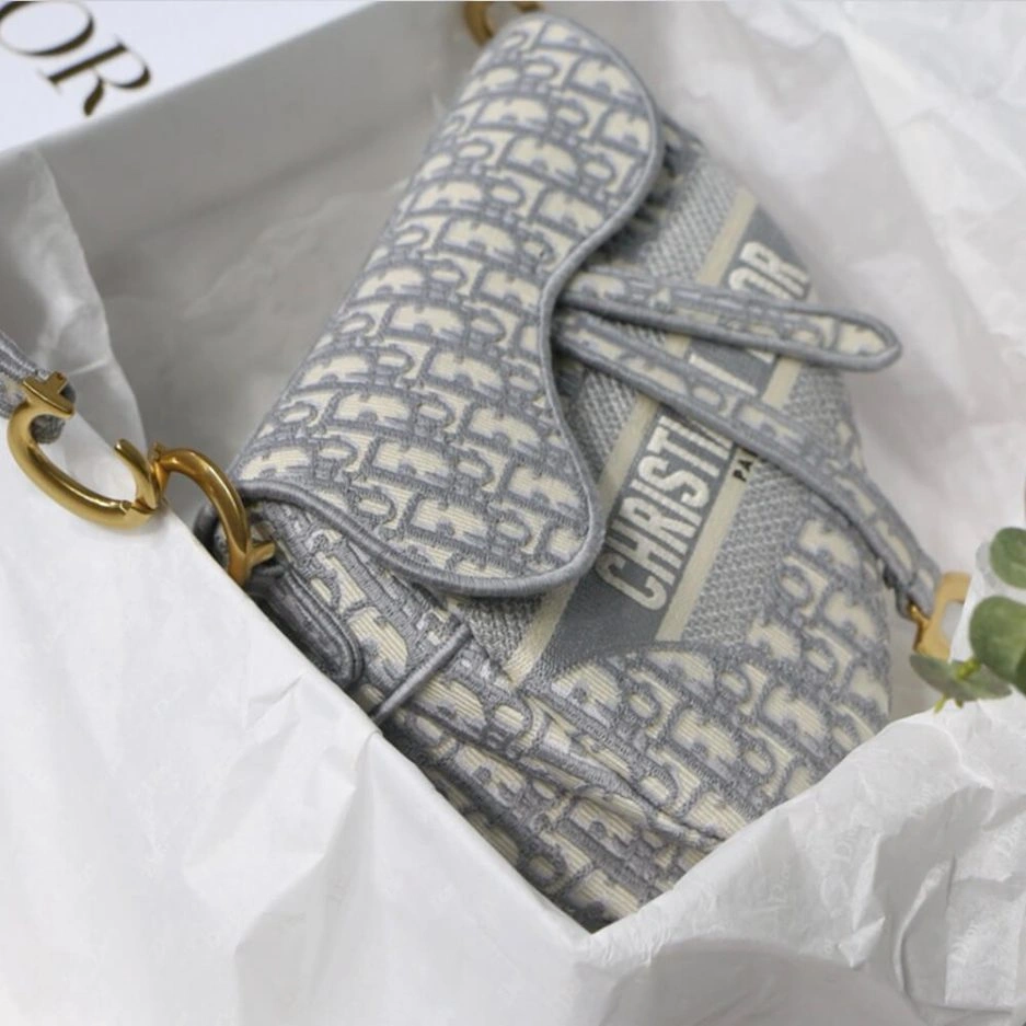 Lightweight DIOR SADDLE BAG 1230