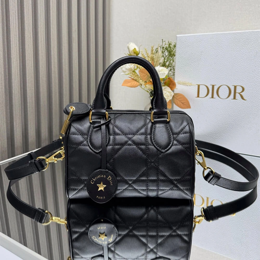 Unisex Dior Groove 20 Bag(HIGH-END GRADE) 1284