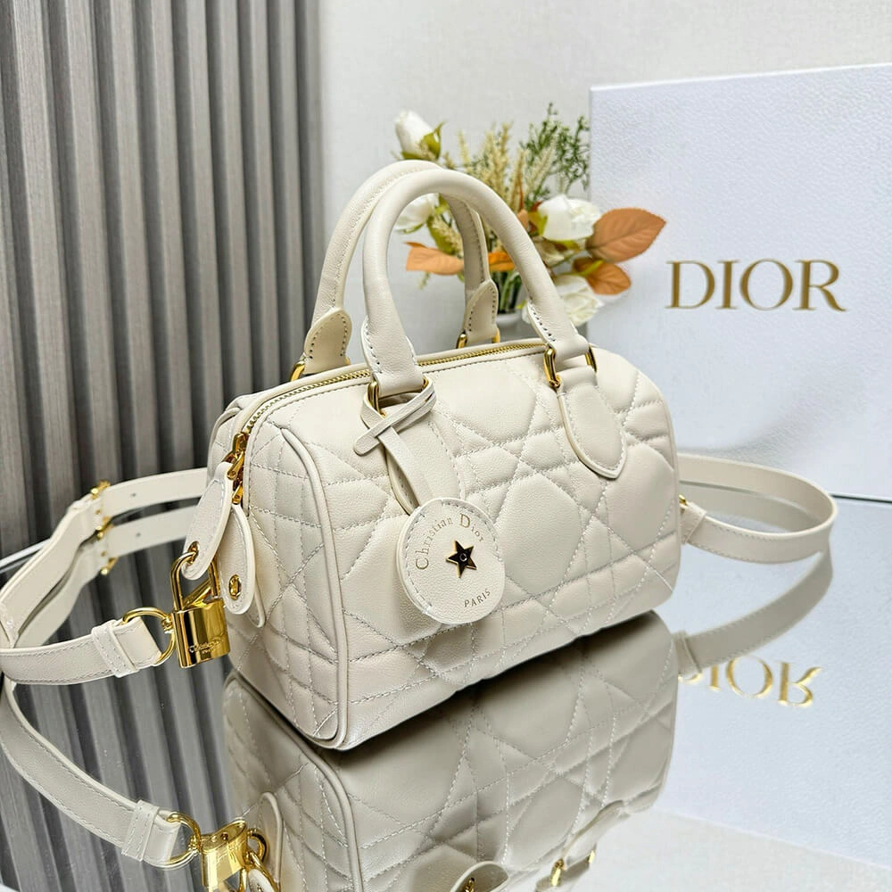 Practical Dior Groove 20 Bag(HIGH-END GRADE) 1261