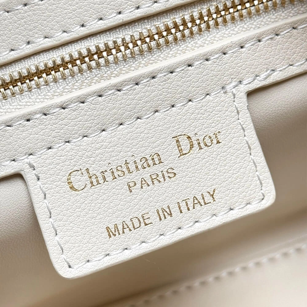 Practical Dior Groove 20 Bag(HIGH-END GRADE) 1261