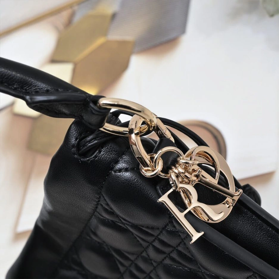 Minimalist Dior Lady Dior Milly Mini Bag 1323