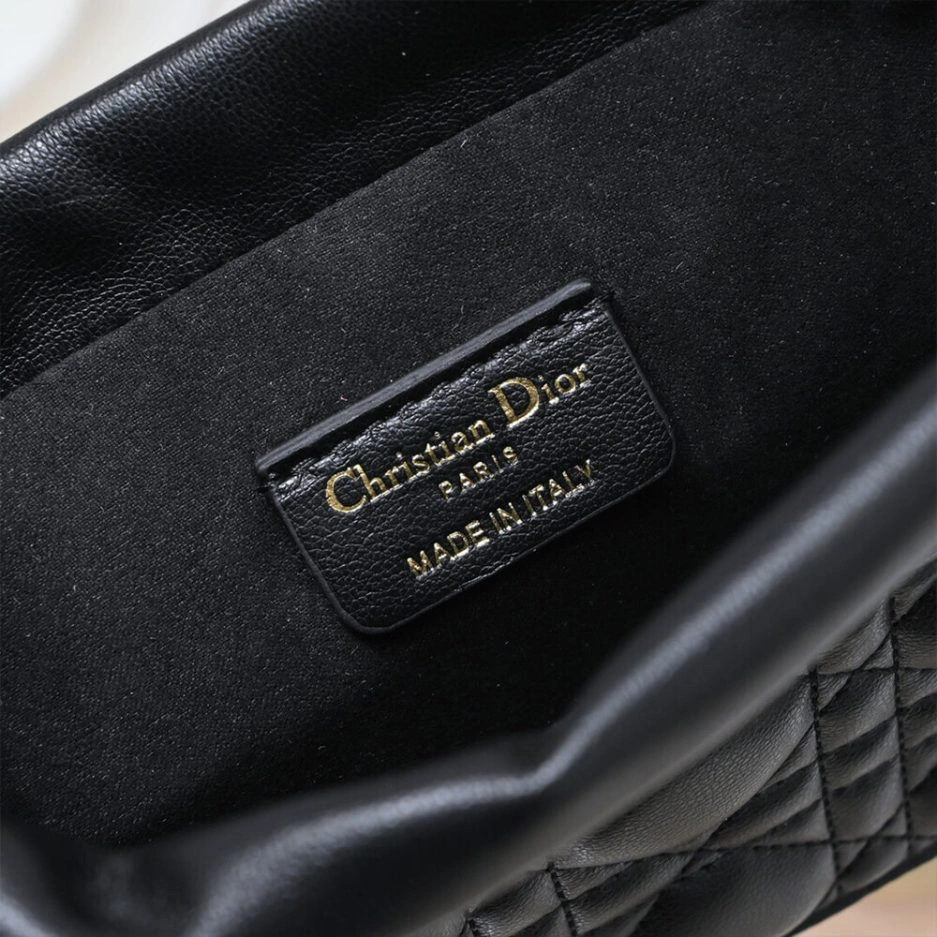 Minimalist Dior Lady Dior Milly Mini Bag 1323