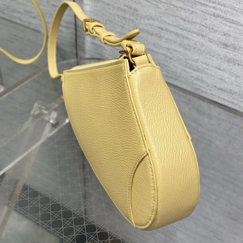 Dior Saddle Rodeo Pouch EyeCatching 1244