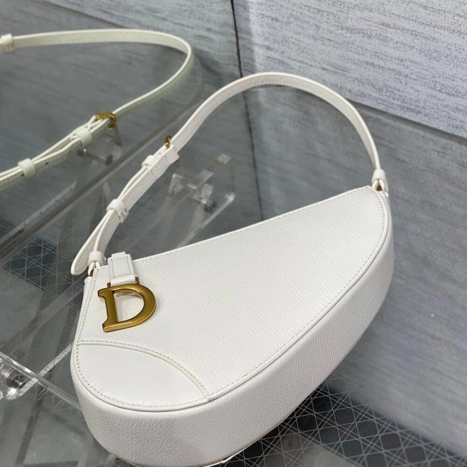 Dior Saddle Rodeo Pouch Efficient 1272