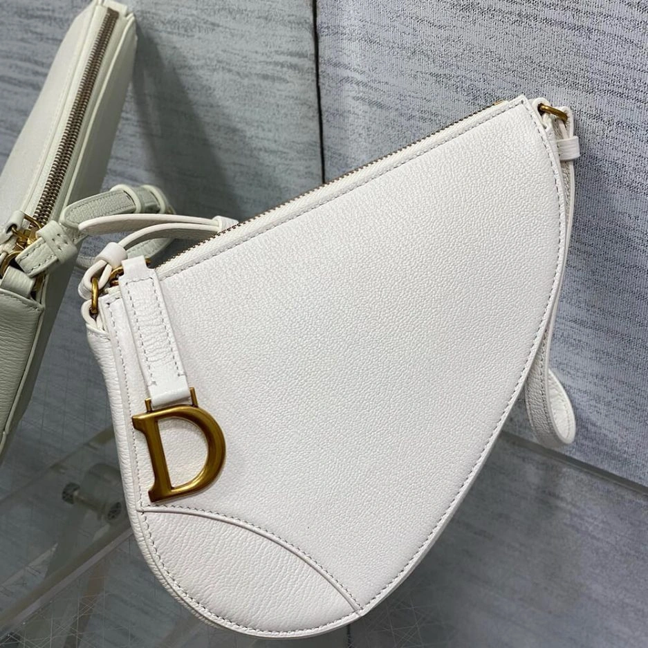 Dior Saddle Rodeo Pouch Efficient 1272