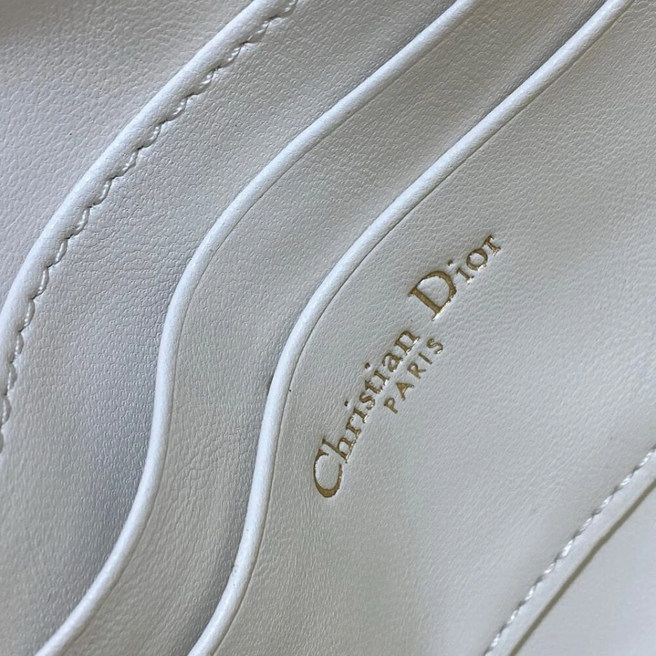 Dior Saddle Rodeo Pouch Efficient 1272