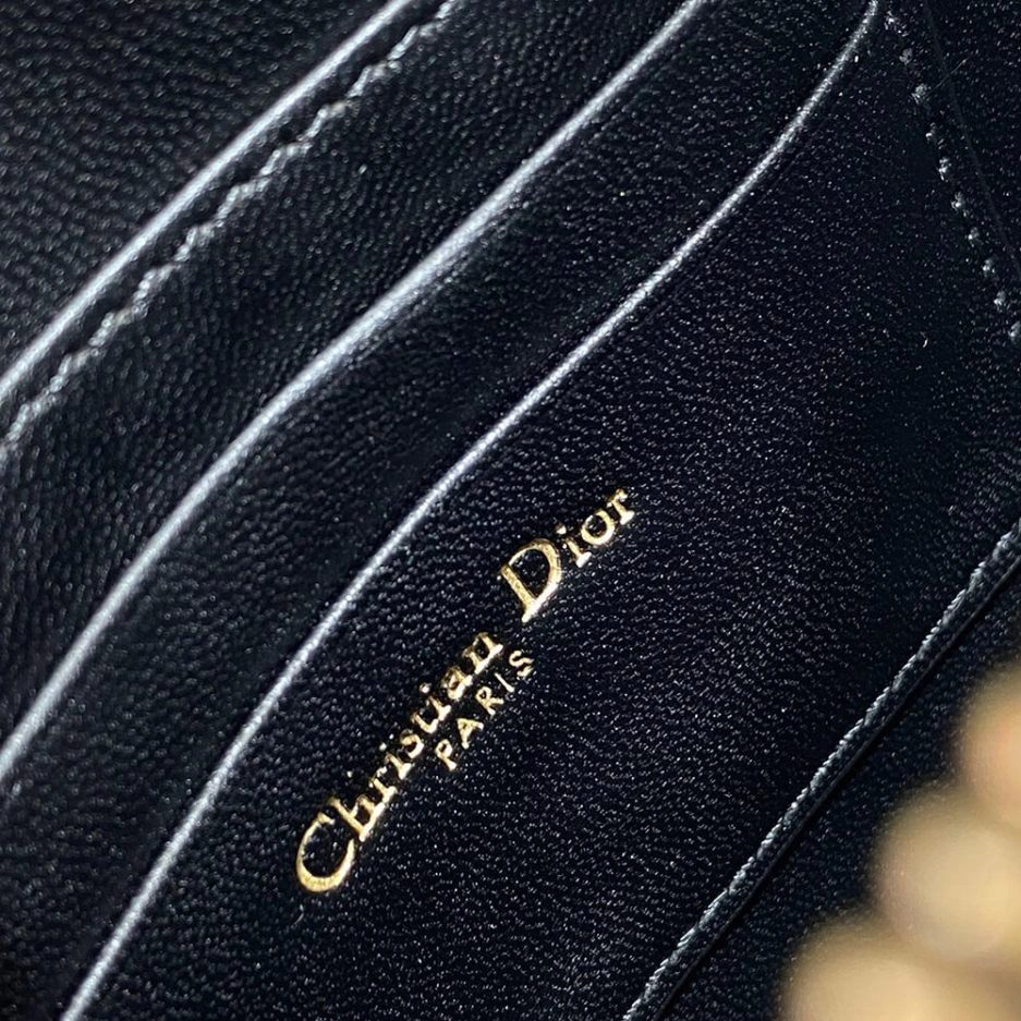 Dior Saddle Rodeo Pouch Snug 1238