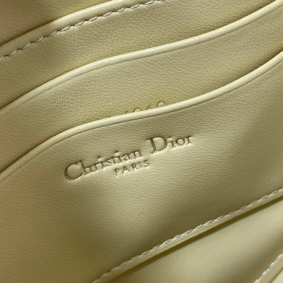 Dior Saddle Rodeo Pouch EyeCatching 1244