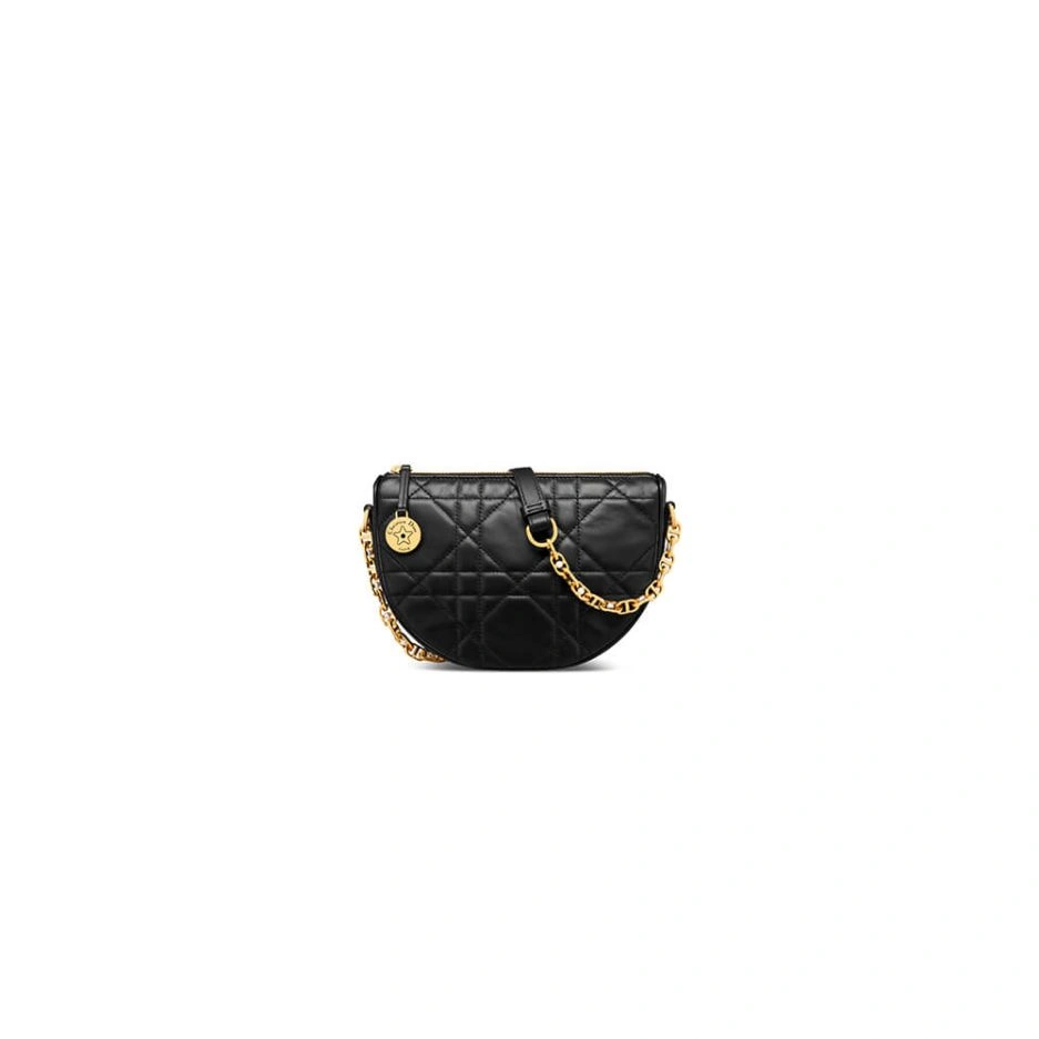 Stylish Diorstar Callisto bag 1254
