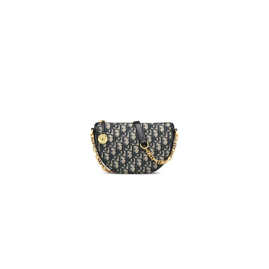 Diorstar Callisto bag EasyCare 1273