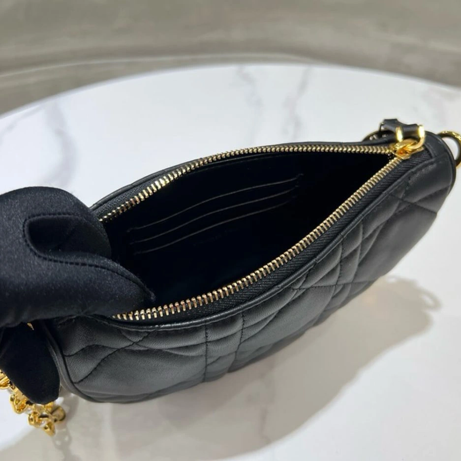 Stylish Diorstar Callisto bag 1254