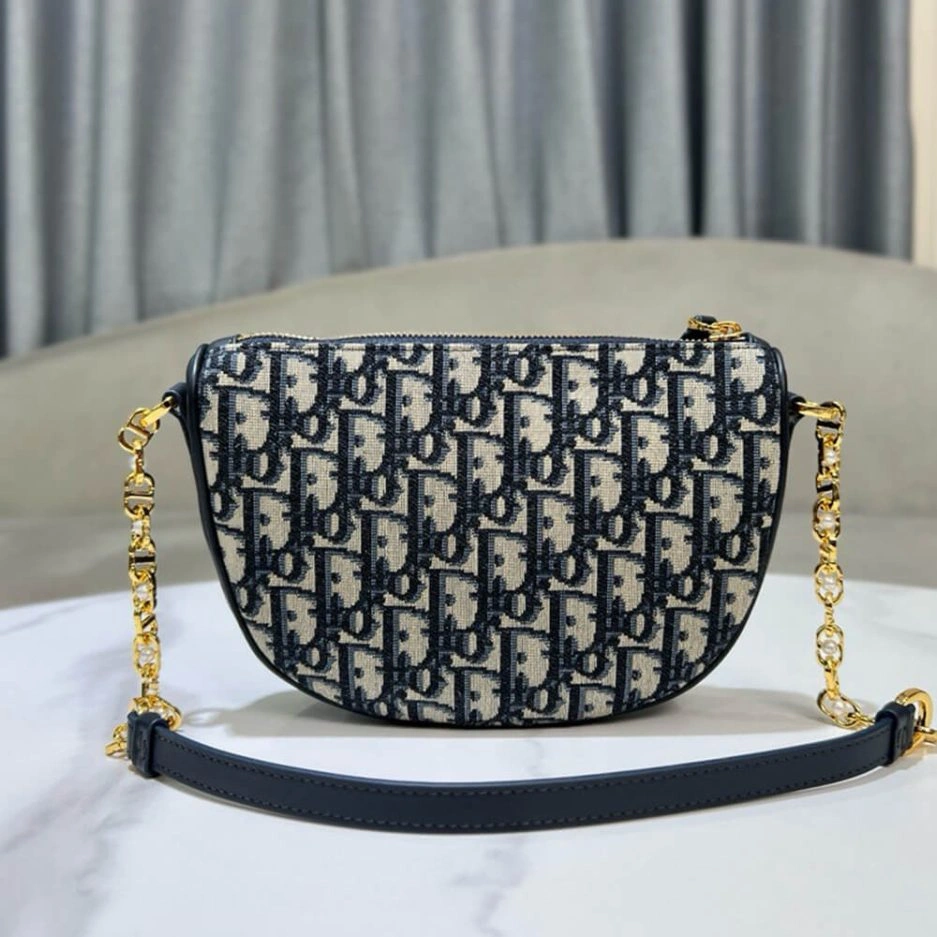 Diorstar Callisto bag EasyCare 1273