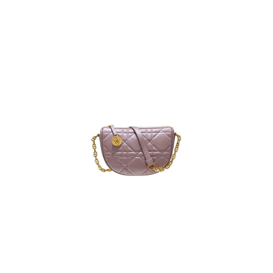 Diorstar Callisto bag Versatile 1334