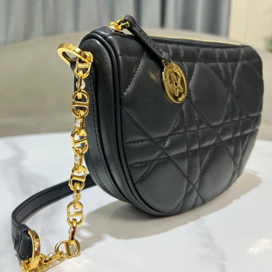 Stylish Diorstar Callisto bag 1254