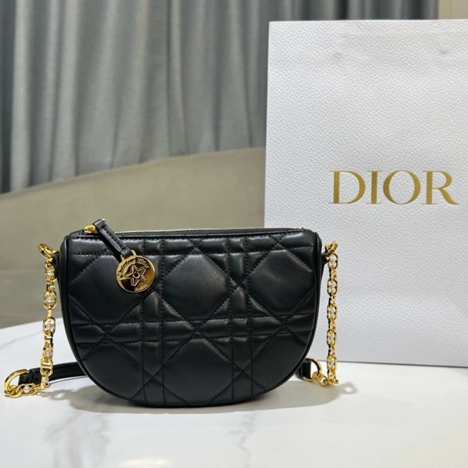 Stylish Diorstar Callisto bag 1254