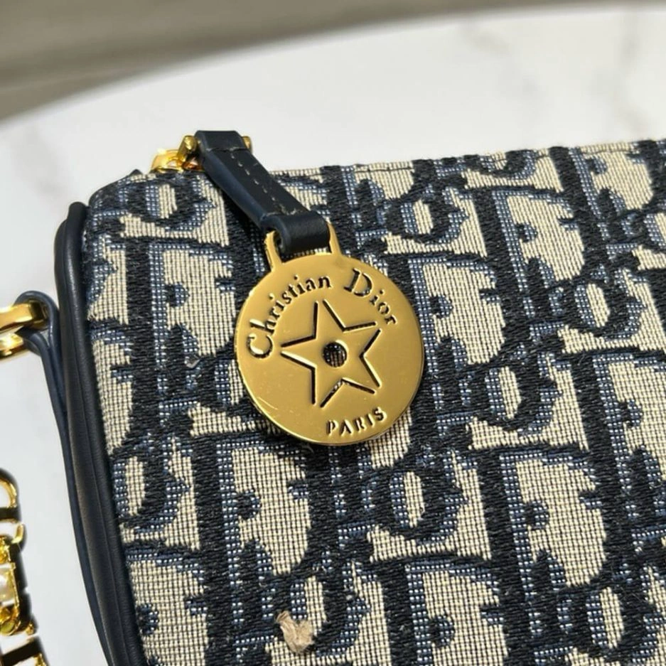 Diorstar Callisto bag EasyCare 1273