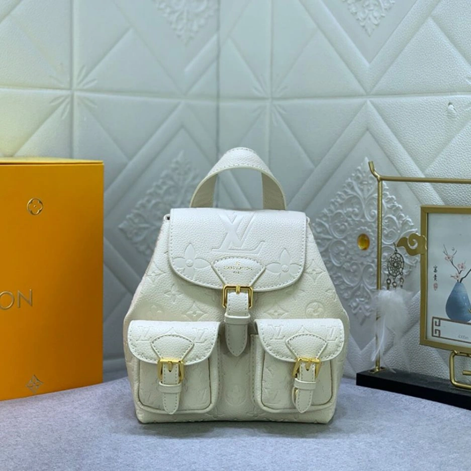 LV Backup Sleek 376