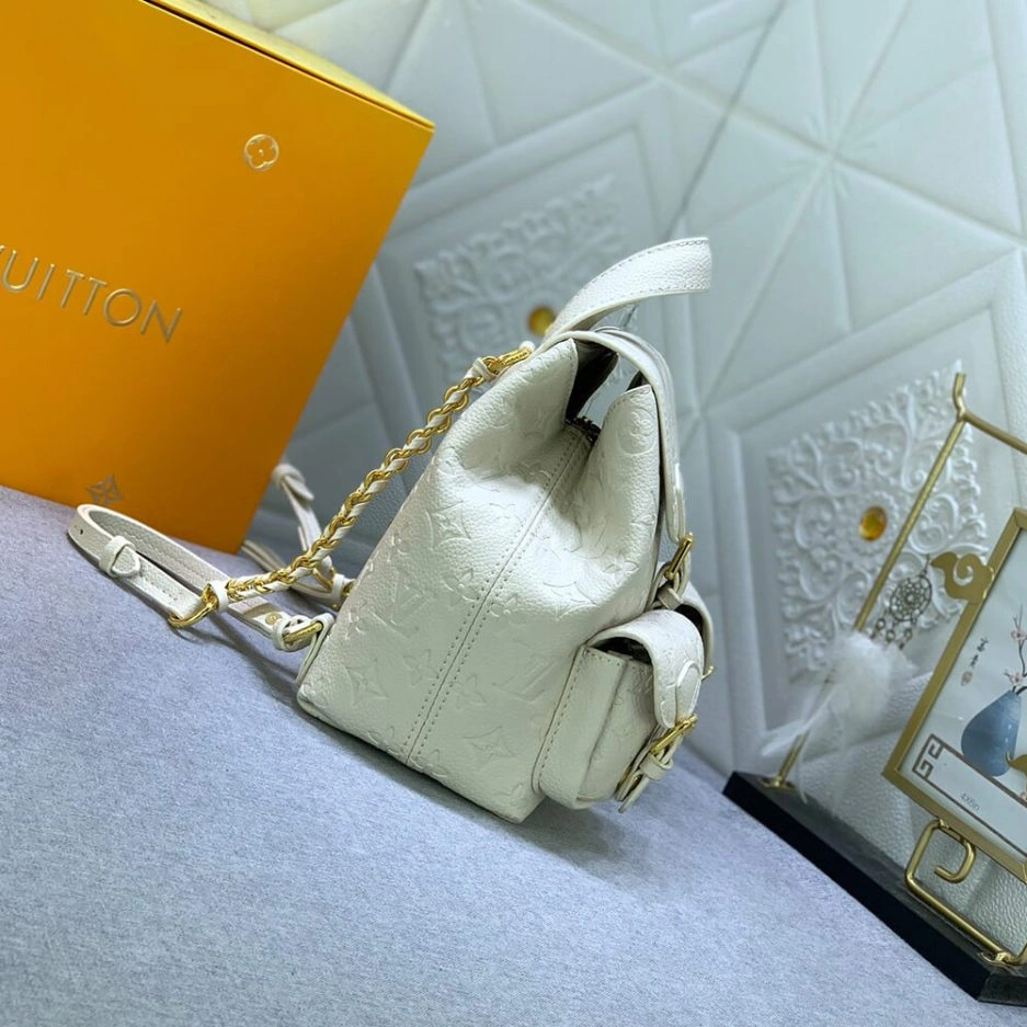 LV Backup Sleek 376