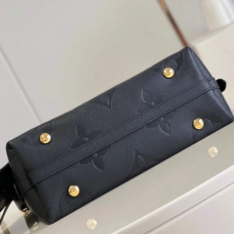 GoAnywhere LV CarryAll PM 368