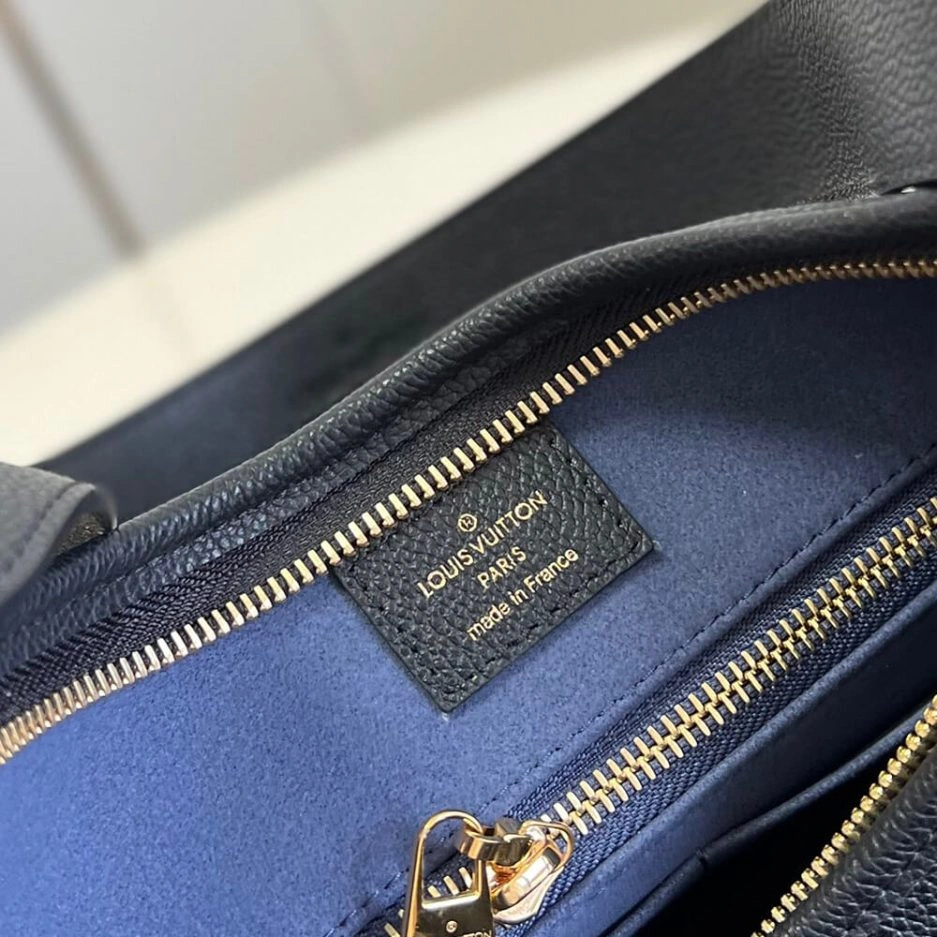 GoAnywhere LV CarryAll PM 368