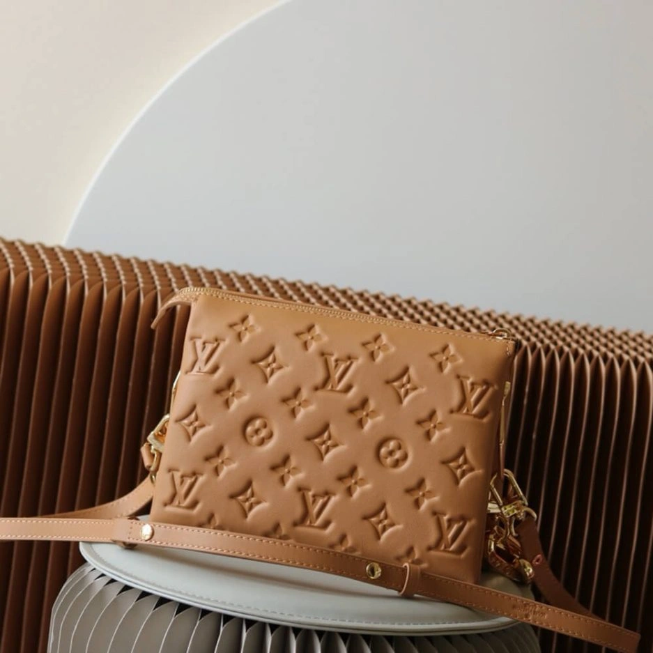 LV Coussin BB Attractive 245