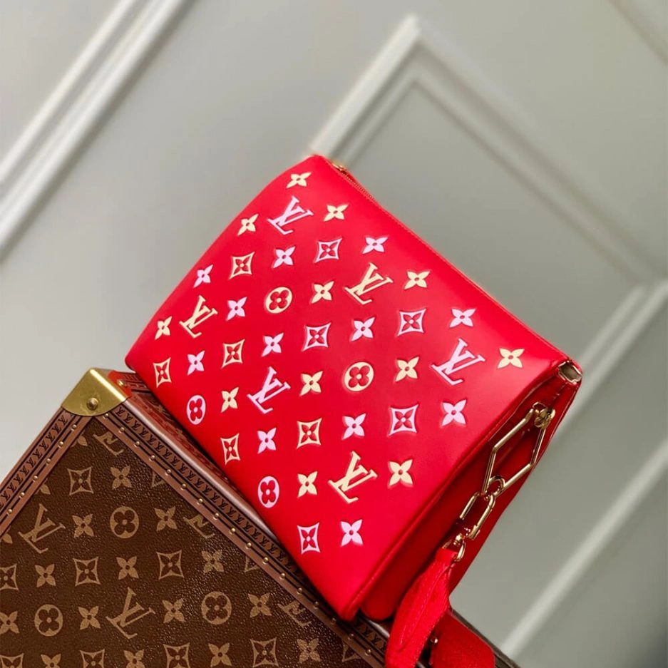LV Coussin PM FastDry 341