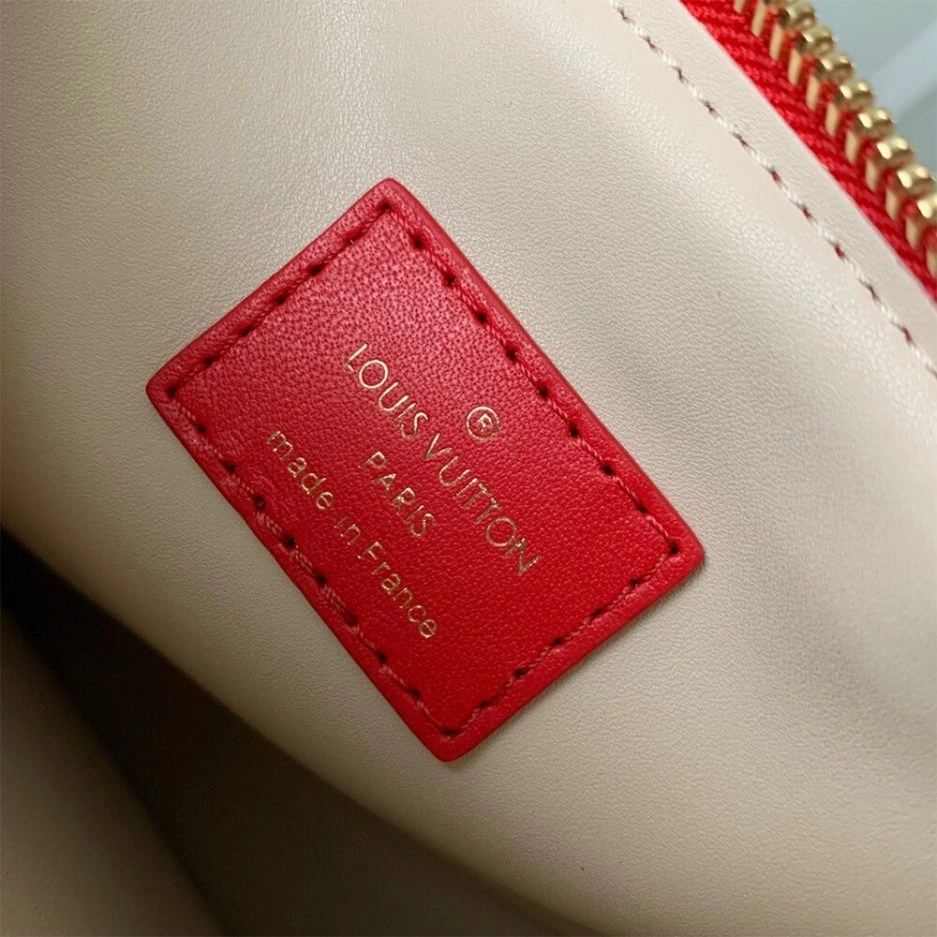 LV Coussin PM FastDry 341