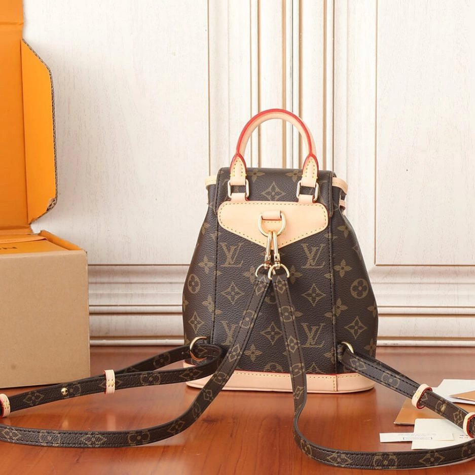 LV Montsouris Mini Contemporary 241