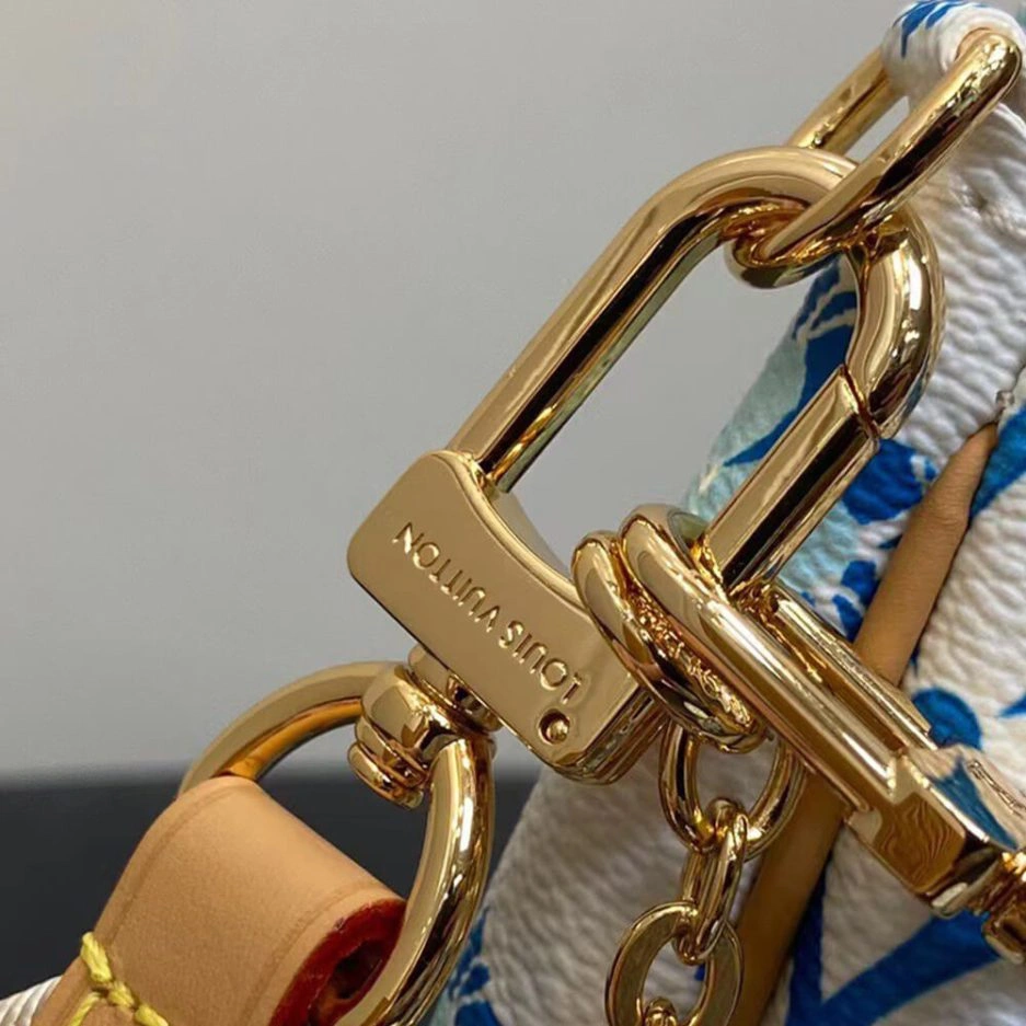 Packable LV Multi Pochette Accessoires 343