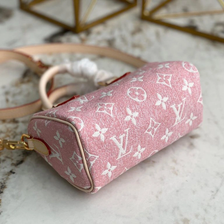 LV Nano Speedy Fashionable 301